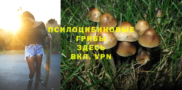 кокаин колумбия Заводоуковск