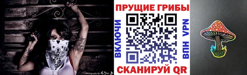 Галлюциногенные грибы Magic Shrooms  Купить  Пионерский 